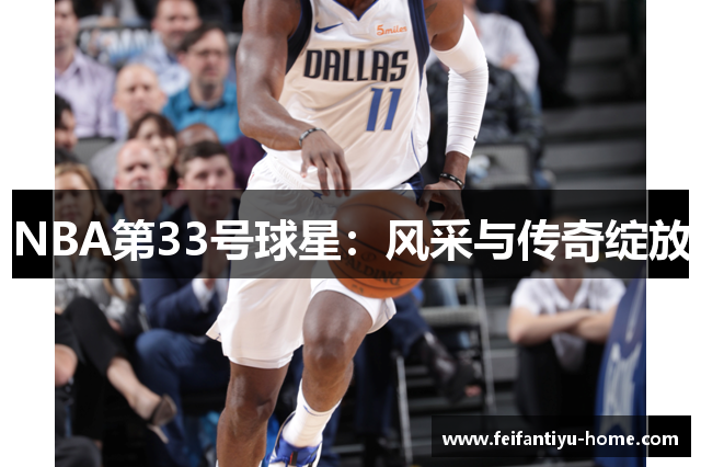 NBA第33号球星：风采与传奇绽放