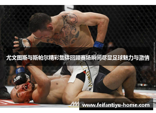 尤文图斯与斯帕尔精彩集锦回顾赛场瞬间尽显足球魅力与激情